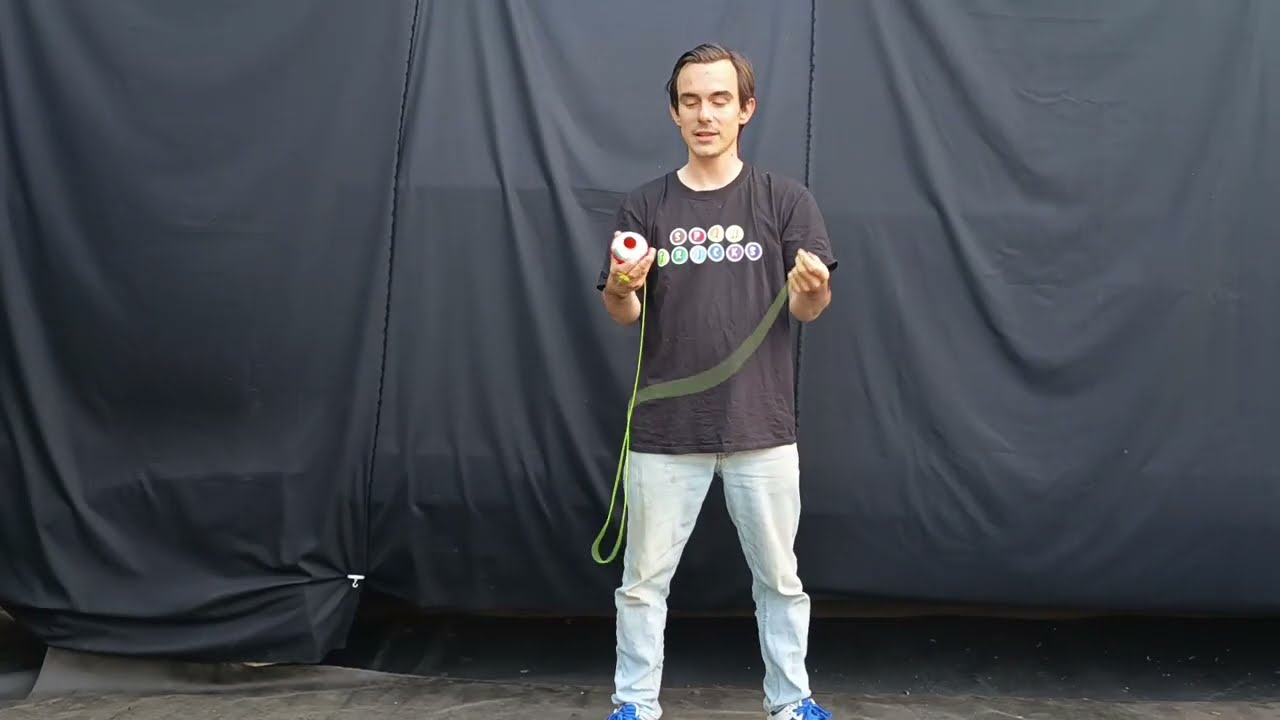 L’araignée tisseuse